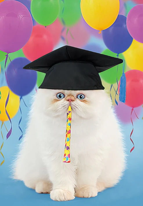 Leanin Tree Cat Graduation Card
