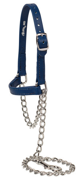 Weaver Sheep/Goat Brahma Webb® Halters
