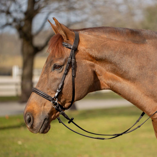 Equinavia Saga Bitless Bridle - Chocolate Brown