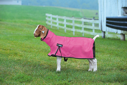 Weaver ProCool Goat Blanket with Reflective Piping & Mesh Butt
