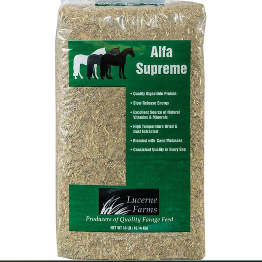 Lucerne Alfa Supreme