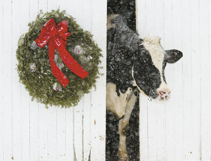 Leanin' Tree Boxed Christmas Cards - Moo-ry Greetings