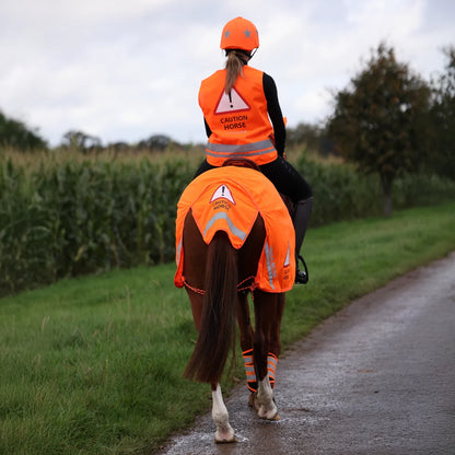 Equi-flector Mesh Exercise Sheet