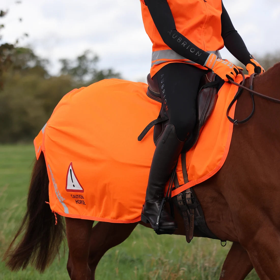 Equi-flector Mesh Exercise Sheet