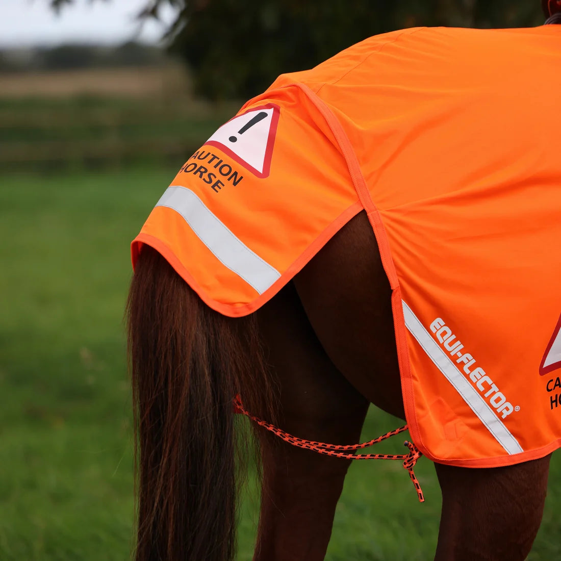 Equi-flector Mesh Exercise Sheet
