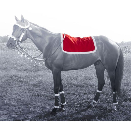 Tough 1 Santa English Pad Cover