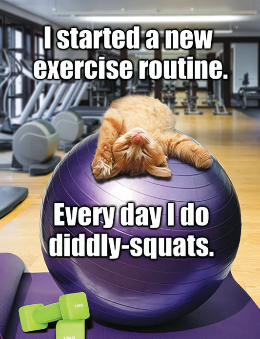 Leanin Tree Cat On It's Back Exercise Ball