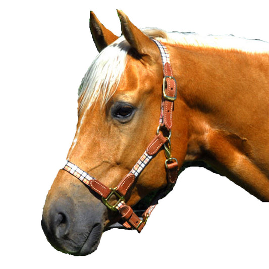 Intrepid Highland Halter Beige with Leather Trim