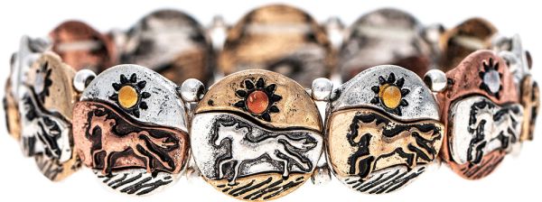 Rain Multi Metal Wild Horse Circles Bracelet