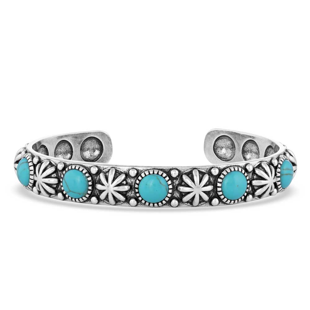 Montana Starlight Starbrite Stone Turquoise Silver