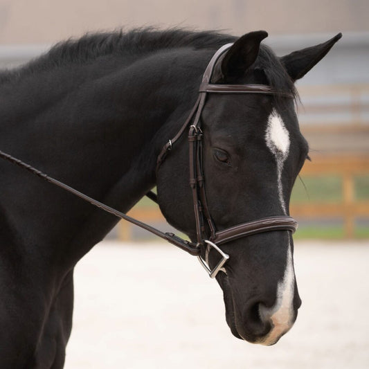 KL Black Oak Cyprus Bridle