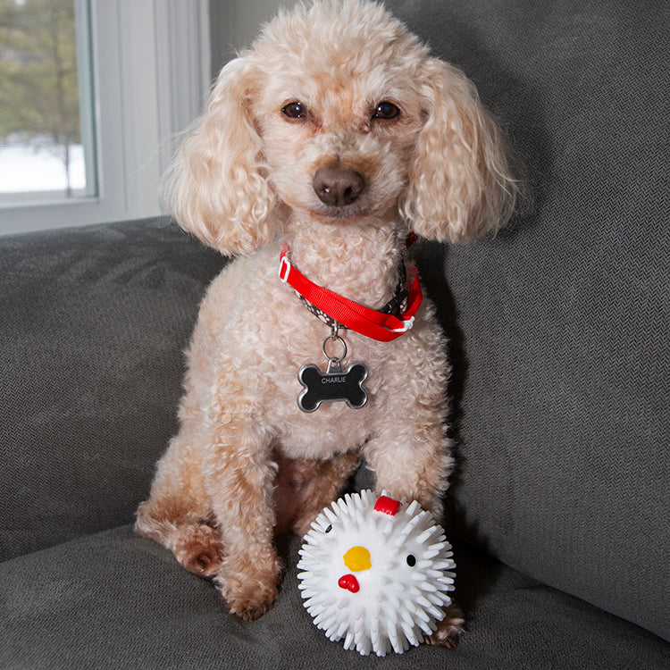 Kikkerland Kobe Chicken Dog Ball