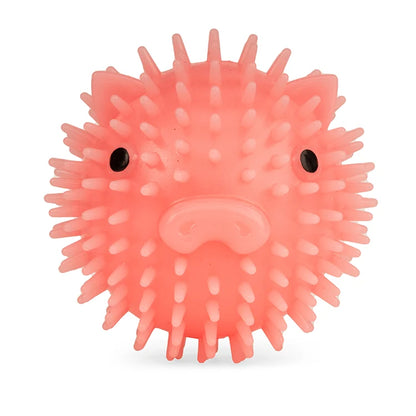 Kikkerland Kobe Pig Dog Ball