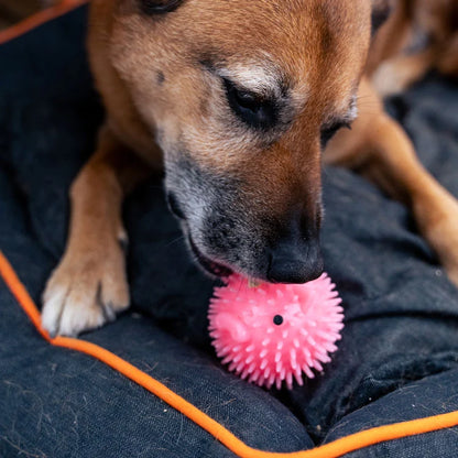 Kikkerland Kobe Pig Dog Ball