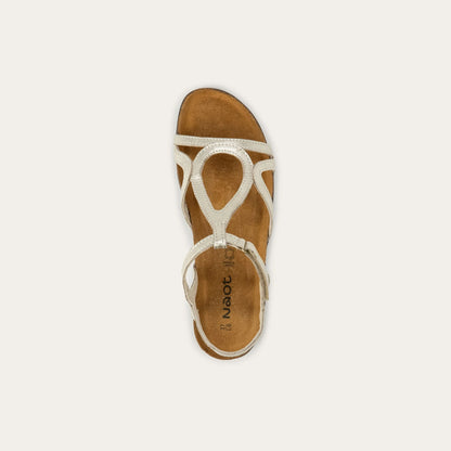 Naot Dorith Radiant Gold
