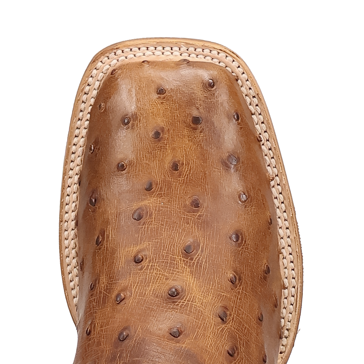 Dan Post Drayden Full Quill Ostrich Tan/Grey