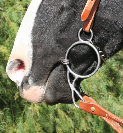 Professional's Choice EQ Wonder Snaffle