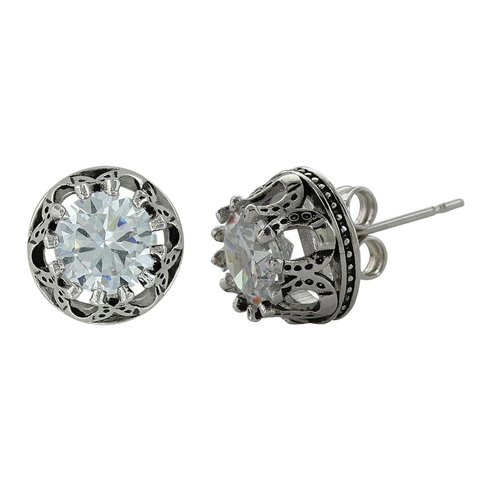 Montana Lucky Water Horseshoe Post Earrings