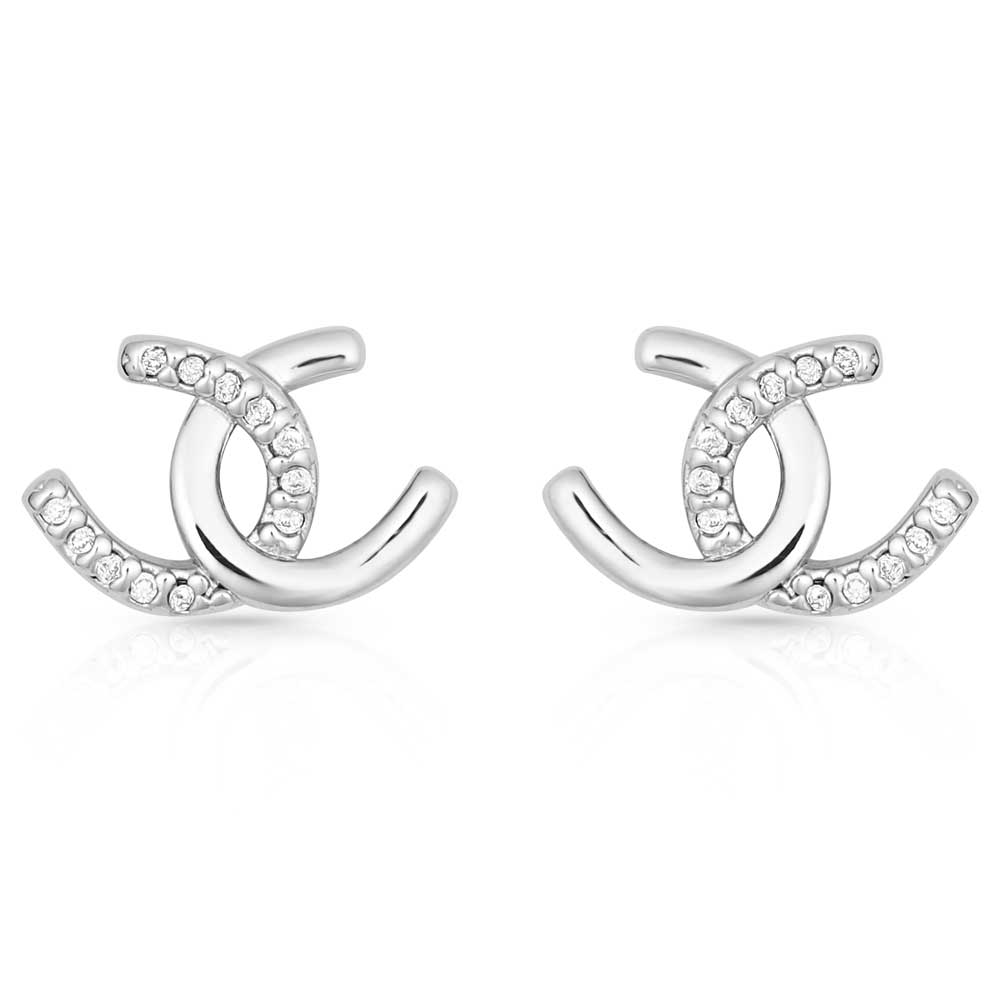 Montana Horseshoe Happiness Post Earrings