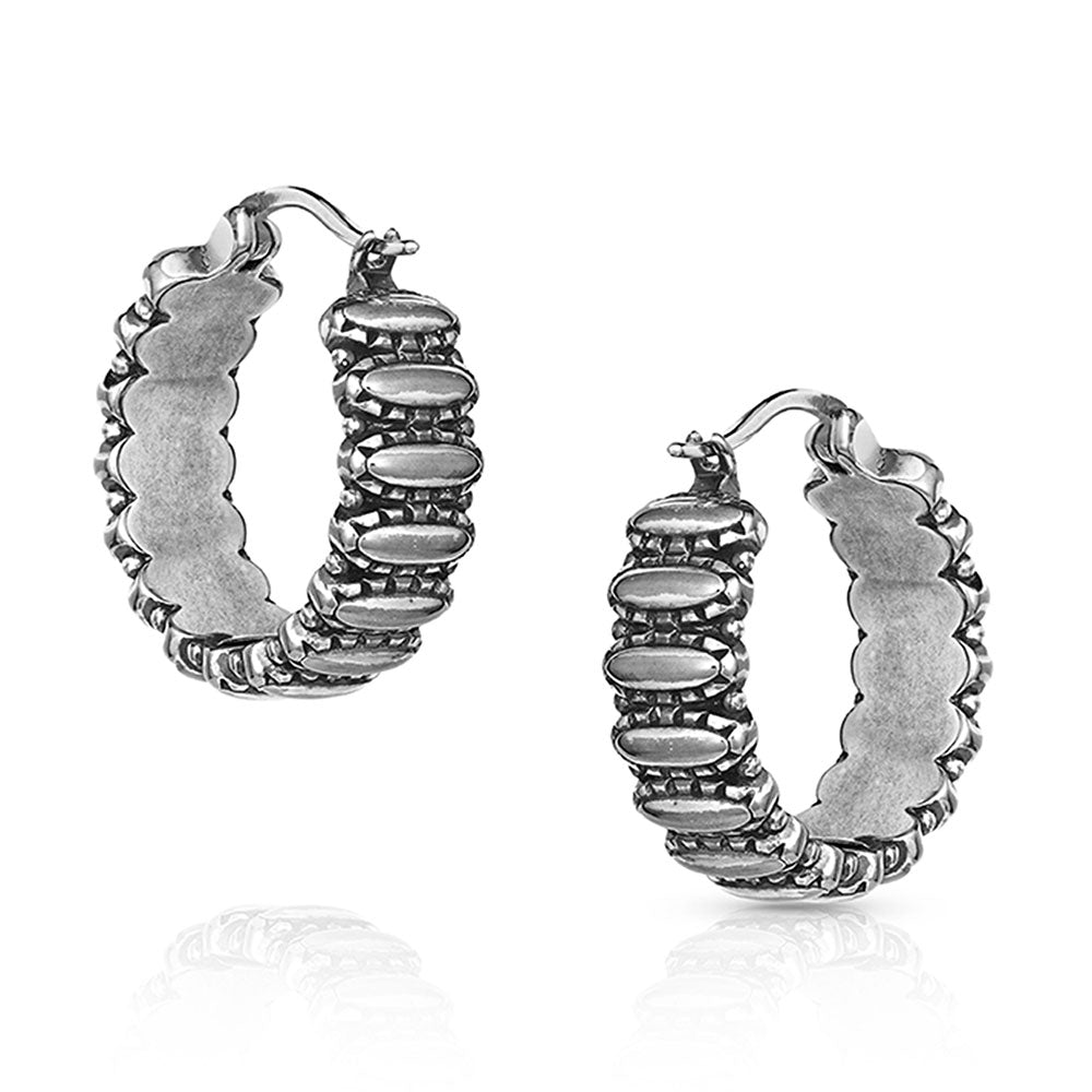 Montana Turquoise Run Earrings