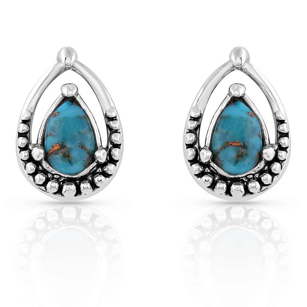 Montana Touch Of Turquoise Earrings