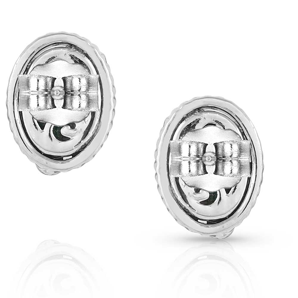 Montana Silver World's Feather Turqoise Earrings