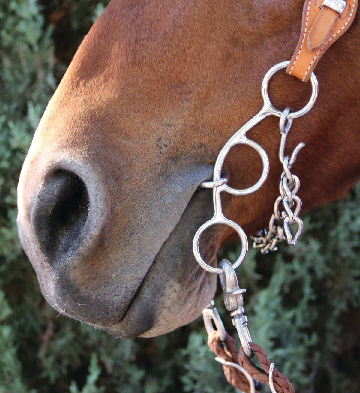 Professional's Choice Futurity Snaffle Bit