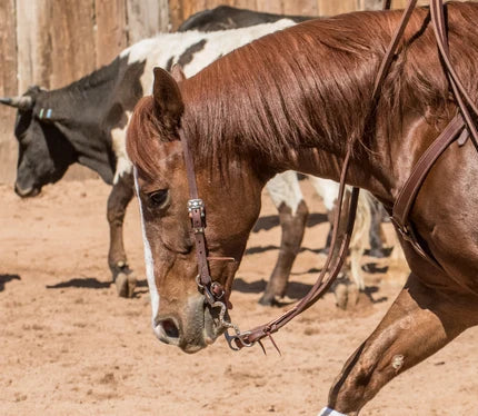 Headstalls