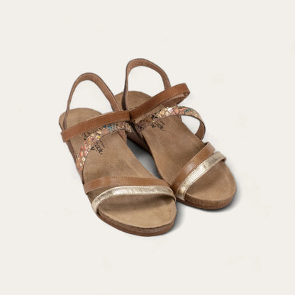Naot Hero Gold Floral Brown Combo