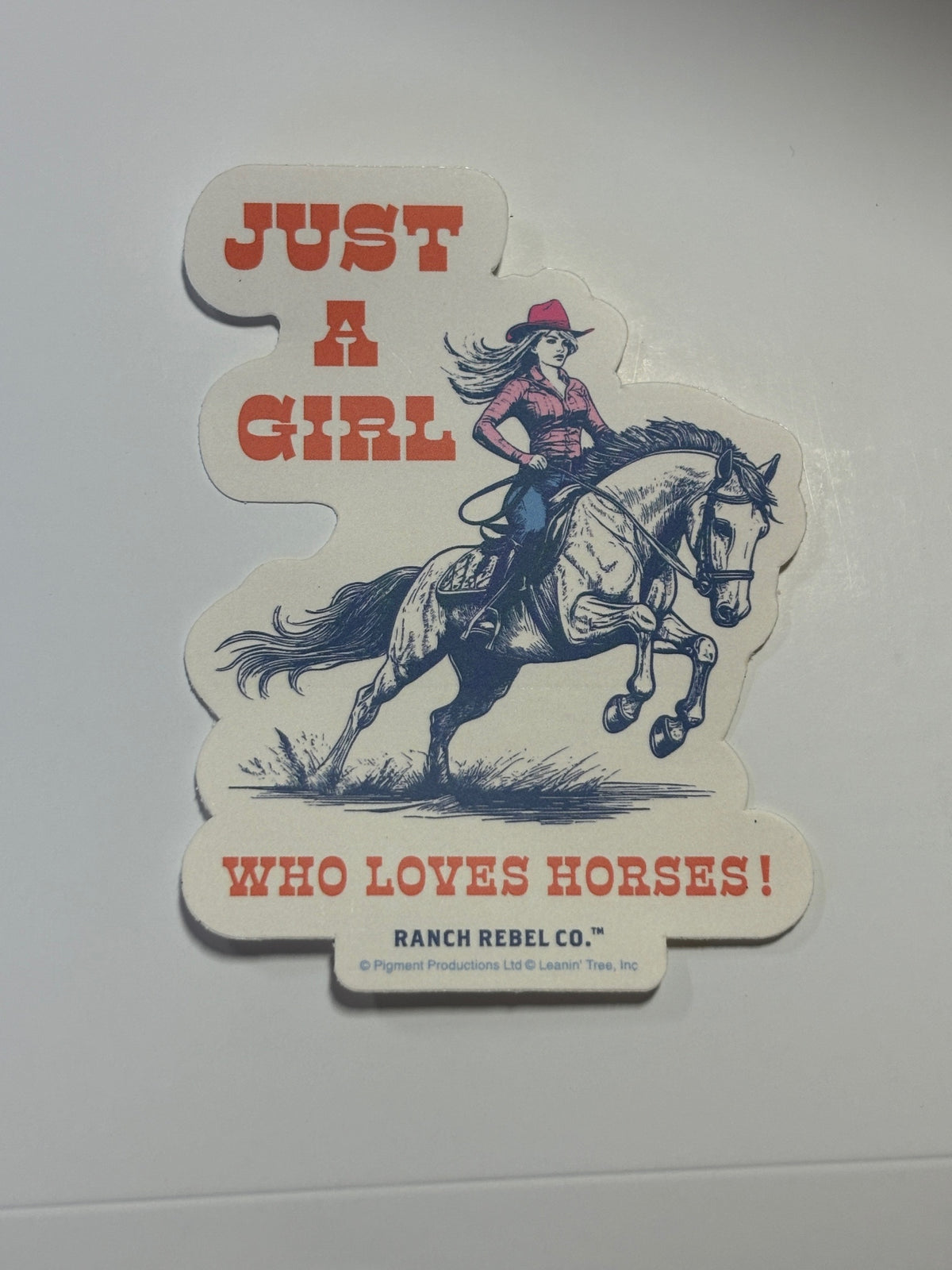 Leanin Tree Rebel Ranch Stickers