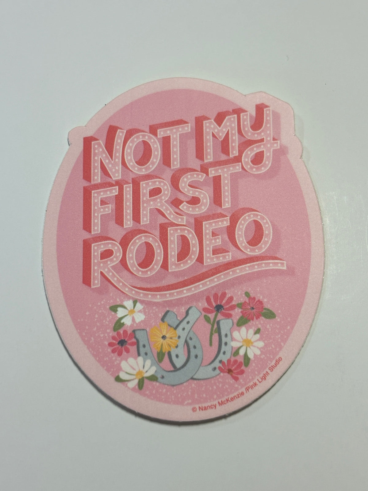 Leanin Tree Rebel Ranch Stickers