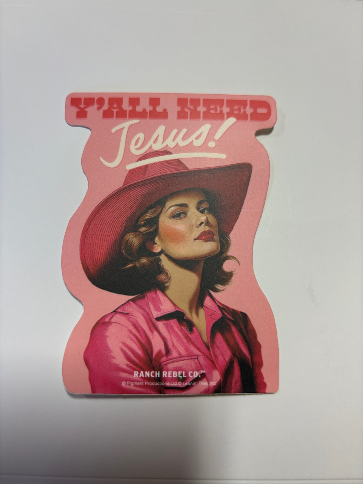 Leanin Tree Rebel Ranch Stickers
