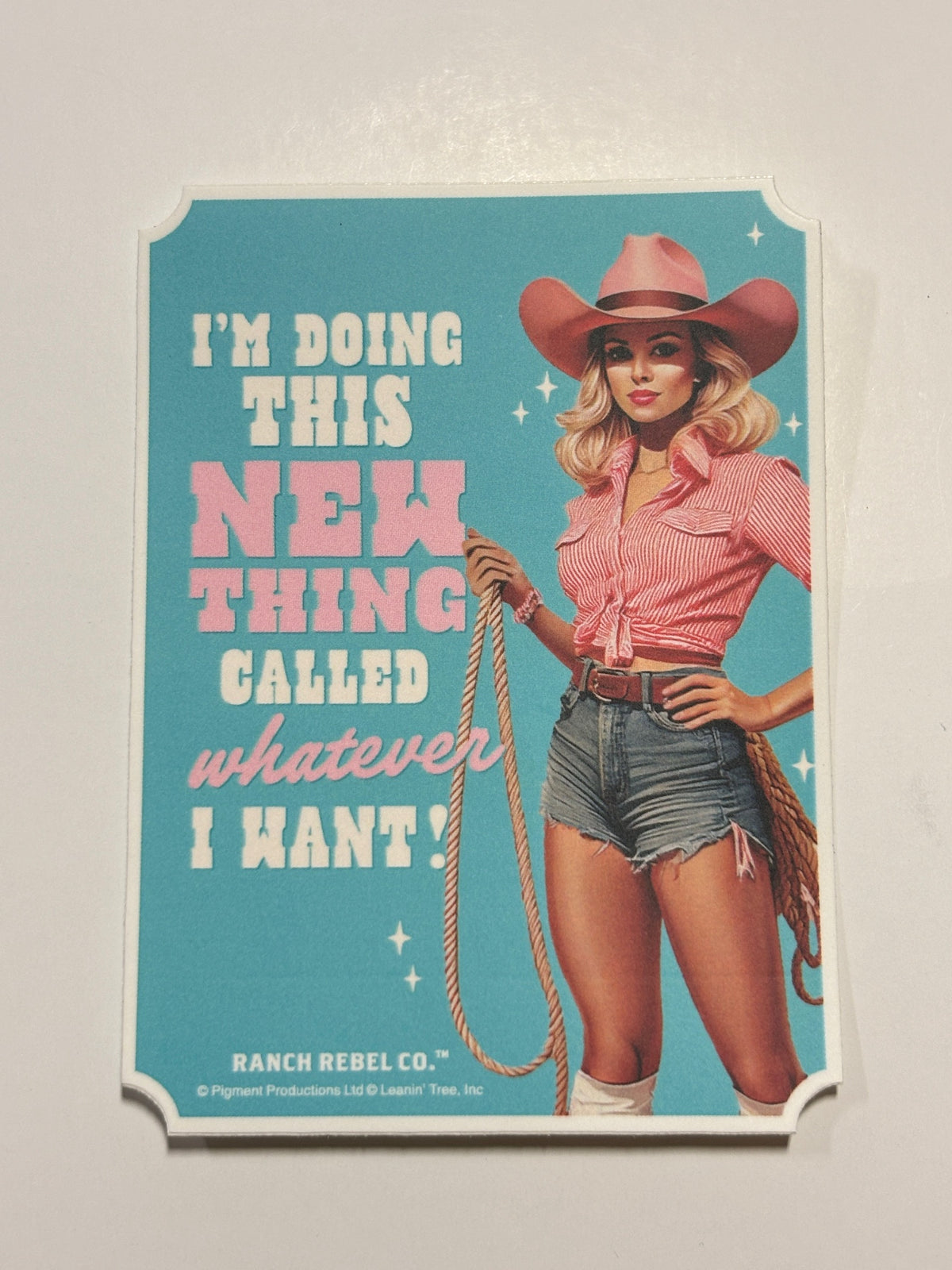 Leanin Tree Rebel Ranch Stickers