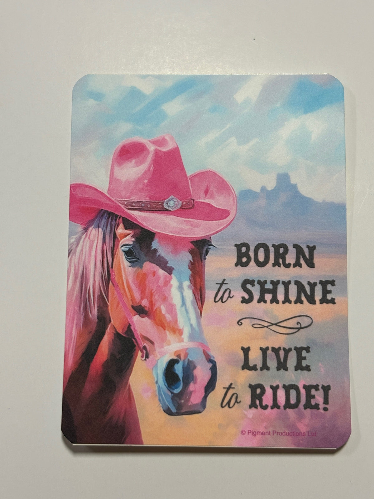 Leanin Tree Rebel Ranch Stickers