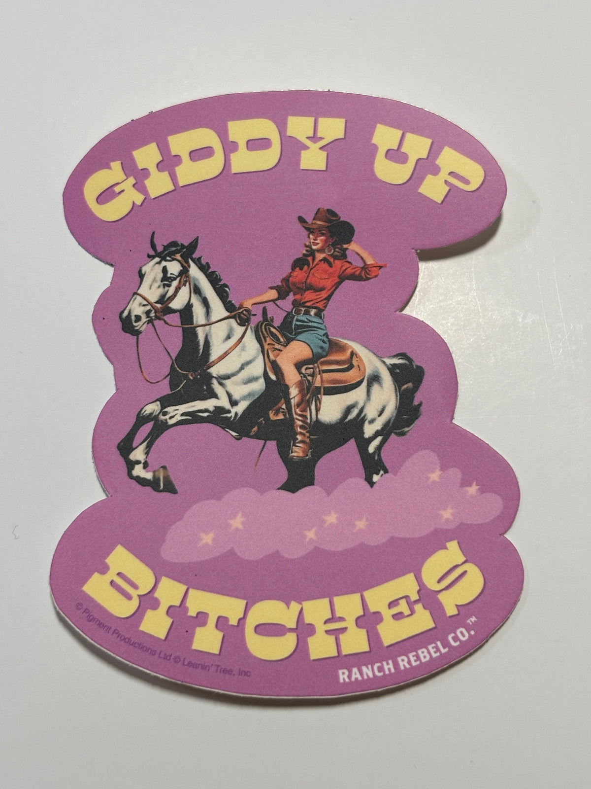 Leanin Tree Rebel Ranch Stickers