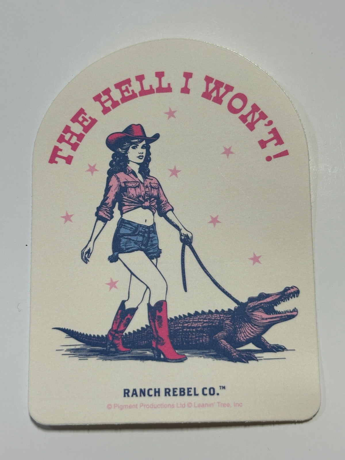 Leanin Tree Rebel Ranch Stickers