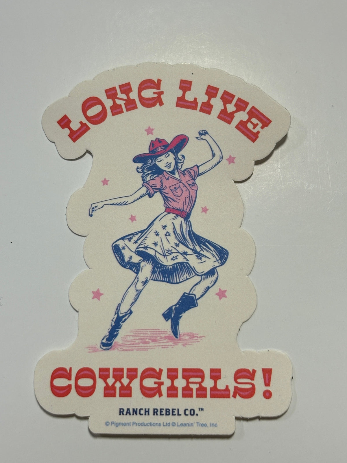 Leanin Tree Rebel Ranch Stickers