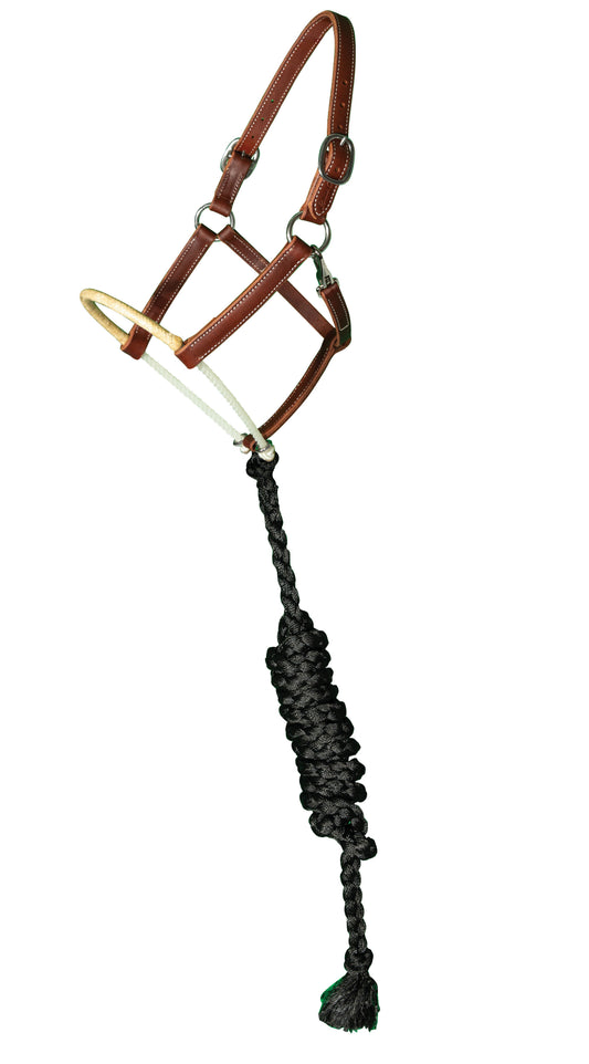 Professional's Choice Leather Halter with Rawhide Nose