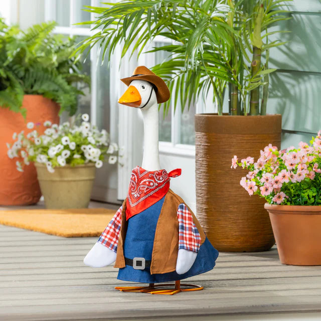 Evergreen Porch Goose Outfit Wild West