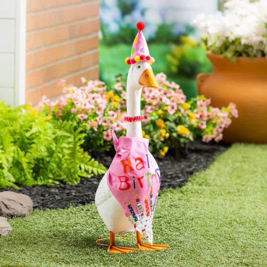 Evergreen Porch Goose Outfit Birthday Girl