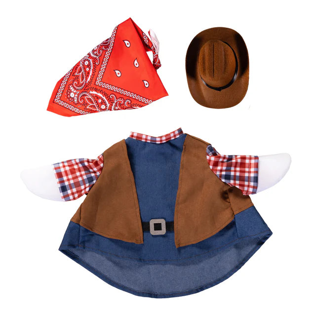 Evergreen Porch Goose Outfit Wild West
