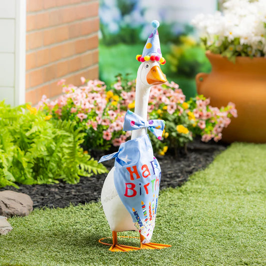 Evergreen Porch Goose Outfit Birthday Boy