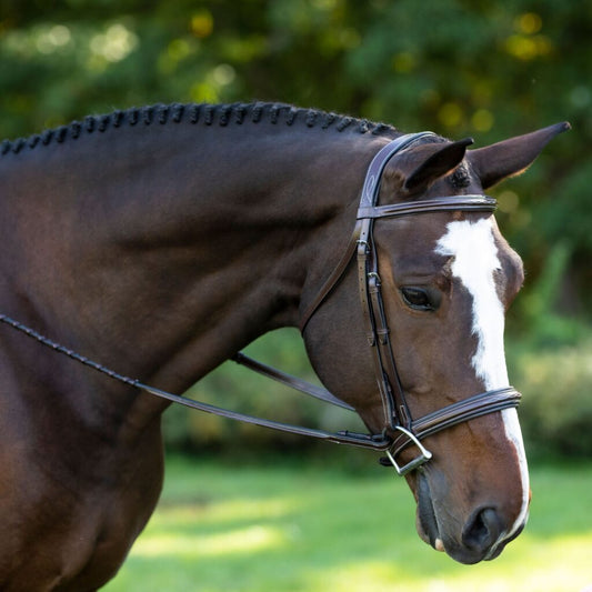 KL Black Oak Laurel Bridle