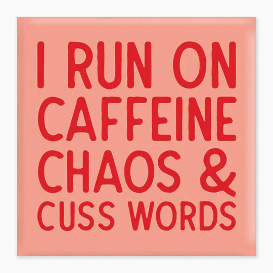 Nice Enough Magnet Cuss Words