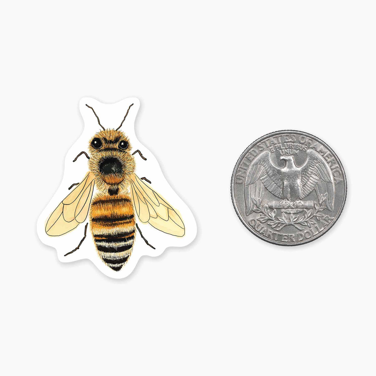 Nice Enough Stickers MINI Bee