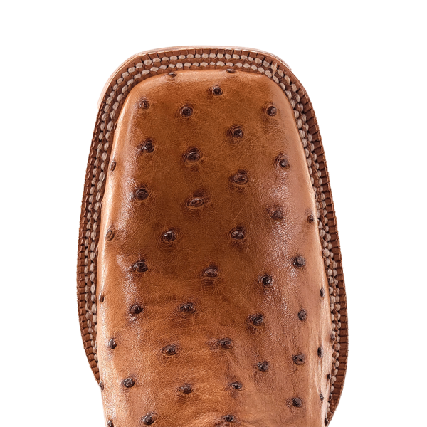R Watson Antique Saddle Bruciato Ostrich / Laguna