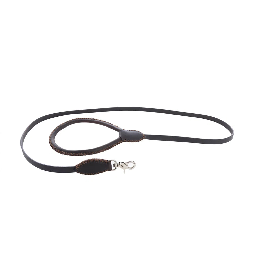Myra Exploradora Dog Leash in Ebony