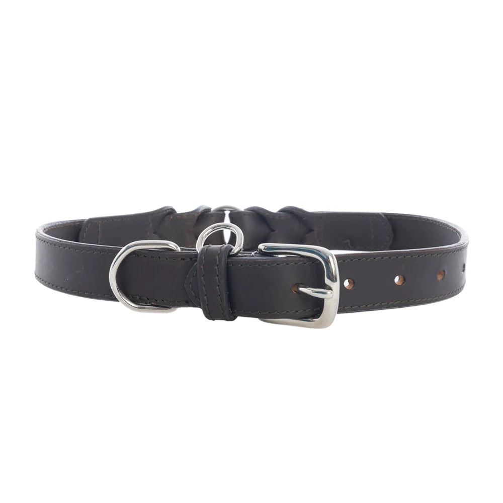 Myra Topside Dog Collar in Ebony