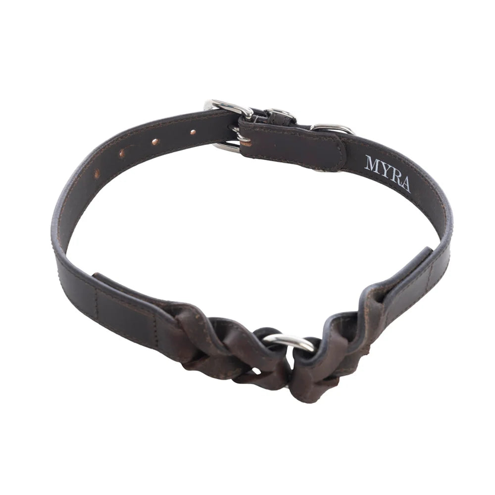 Myra Topside Dog Collar in Ebony