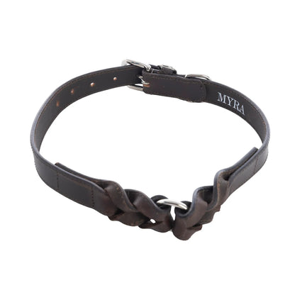 Myra Topside Dog Collar in Ebony
